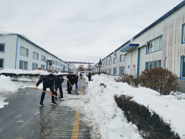 遇雪奋战 全力复原出产